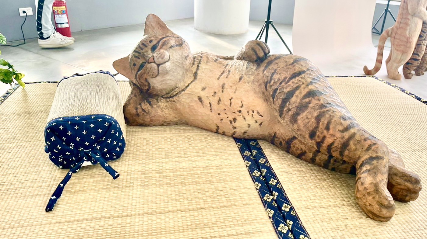 悠閒躺臥在榻榻米上的貓咪。圖／讀者提供