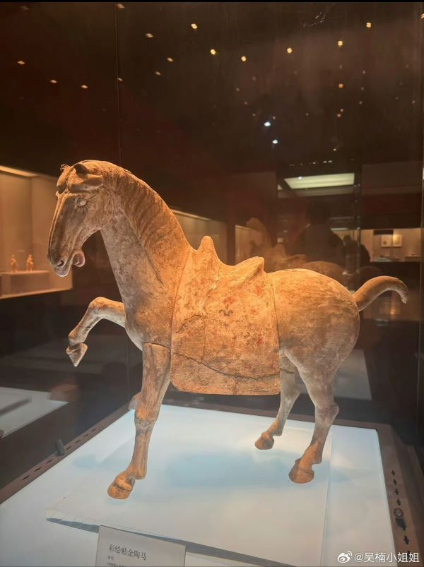 河南洛陽博物館的唐代彩繪貼金陶馬，未傾倒前的模樣。圖/取自吳楠小姐姐微信