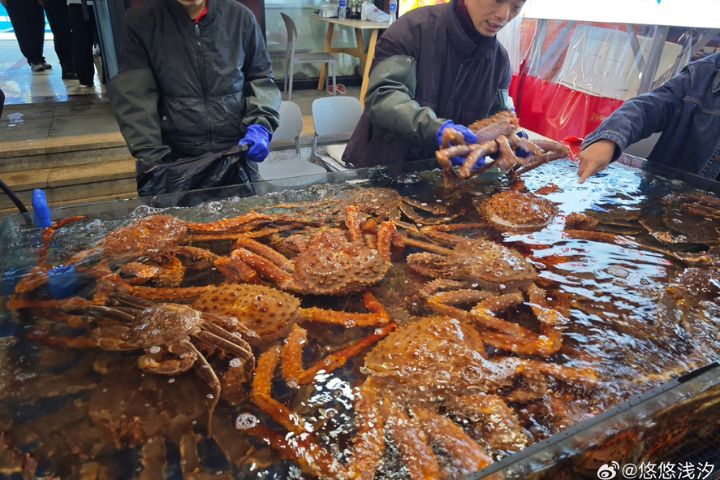 帝王蟹體型巨大，3至5斤為全大陸市場主流規格，6斤以上則深受來琿春旅遊的外地客喜愛。圖/取自悠悠淺汐微博