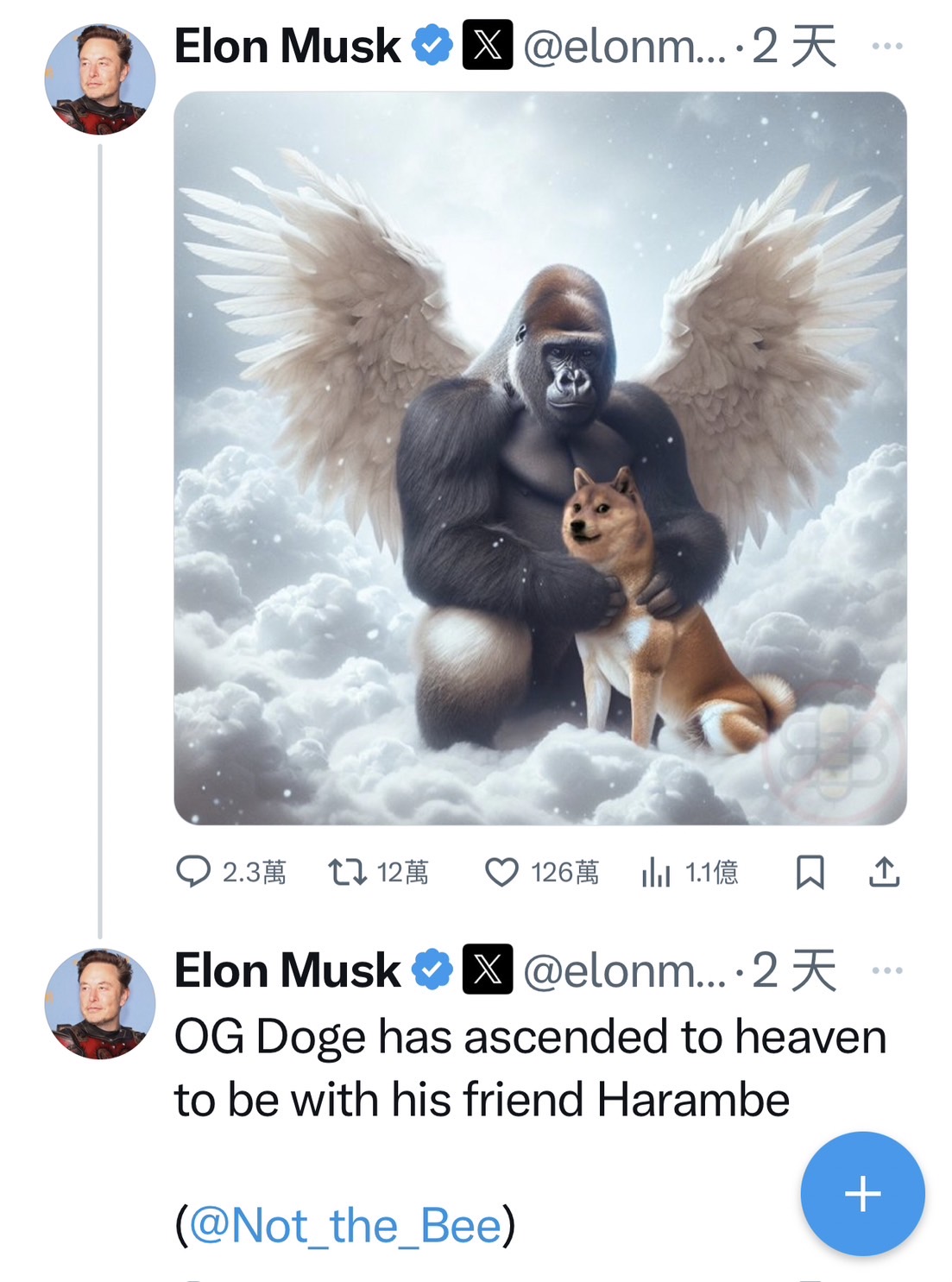 特斯拉和SpaceX創始人馬斯克也發文，告別小廢柴。圖/截自Elon Musk X