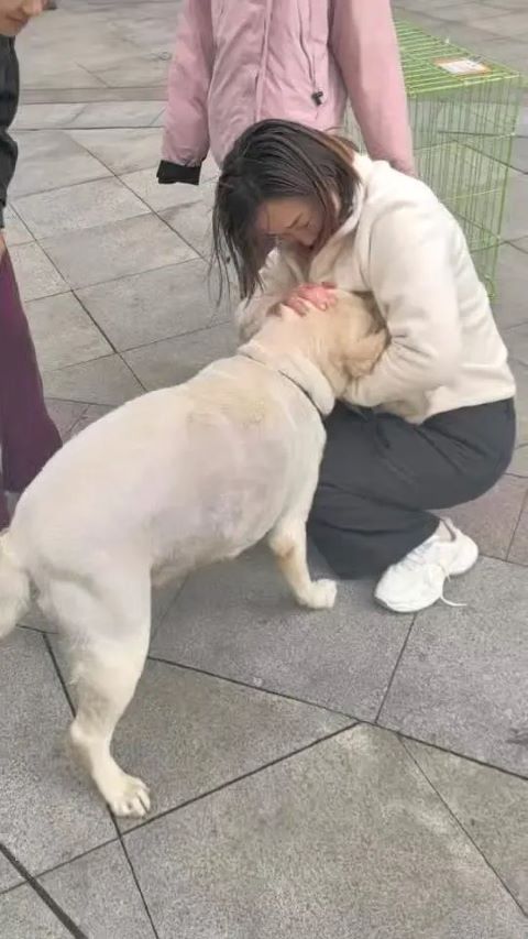 「九月」一見到主人就瘋狂搖尾巴，甚至激動到「流眼淚」，人犬相擁而泣。圖/取自極目新聞