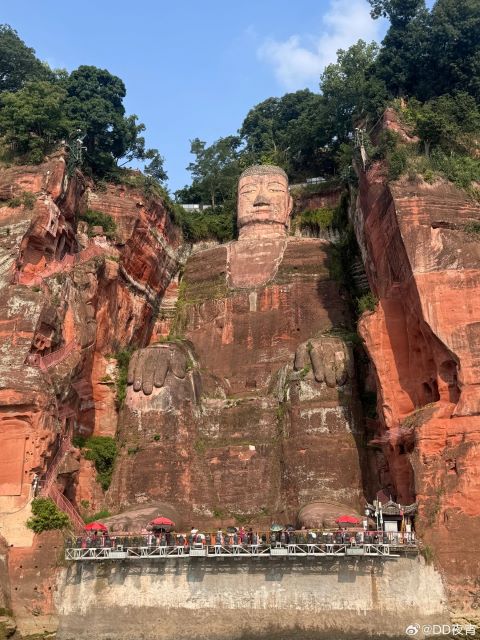 樂山大佛始建於唐代開元初年，至今已有逾千年歷史。圖/取自DD夜宵微博