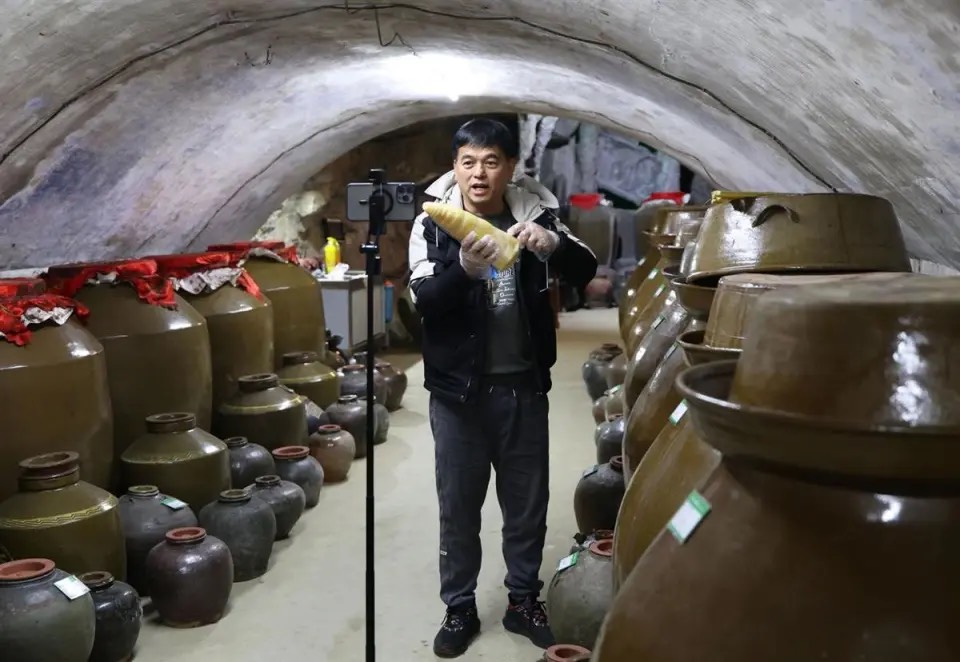 柳州螺螄粉製作技藝非遺傳承人陳偉在一家老酸水菌種庫直播介紹酸筍。圖/取自新華社