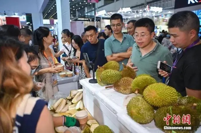  2025年泰國榴蓮總產量預計達168.25萬噸，年增長超過30%。大陸作為其主要出口市場，市場供給迅速膨脹，直接拉低價格。圖/取自中新網