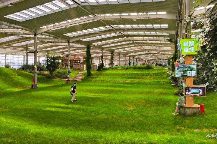 蒙草集團旗下種業中心集保種、育種、繁育、推廣及科研於一體,也是生態保護與修復的重要研發基地。圖/記者陳素貞攝