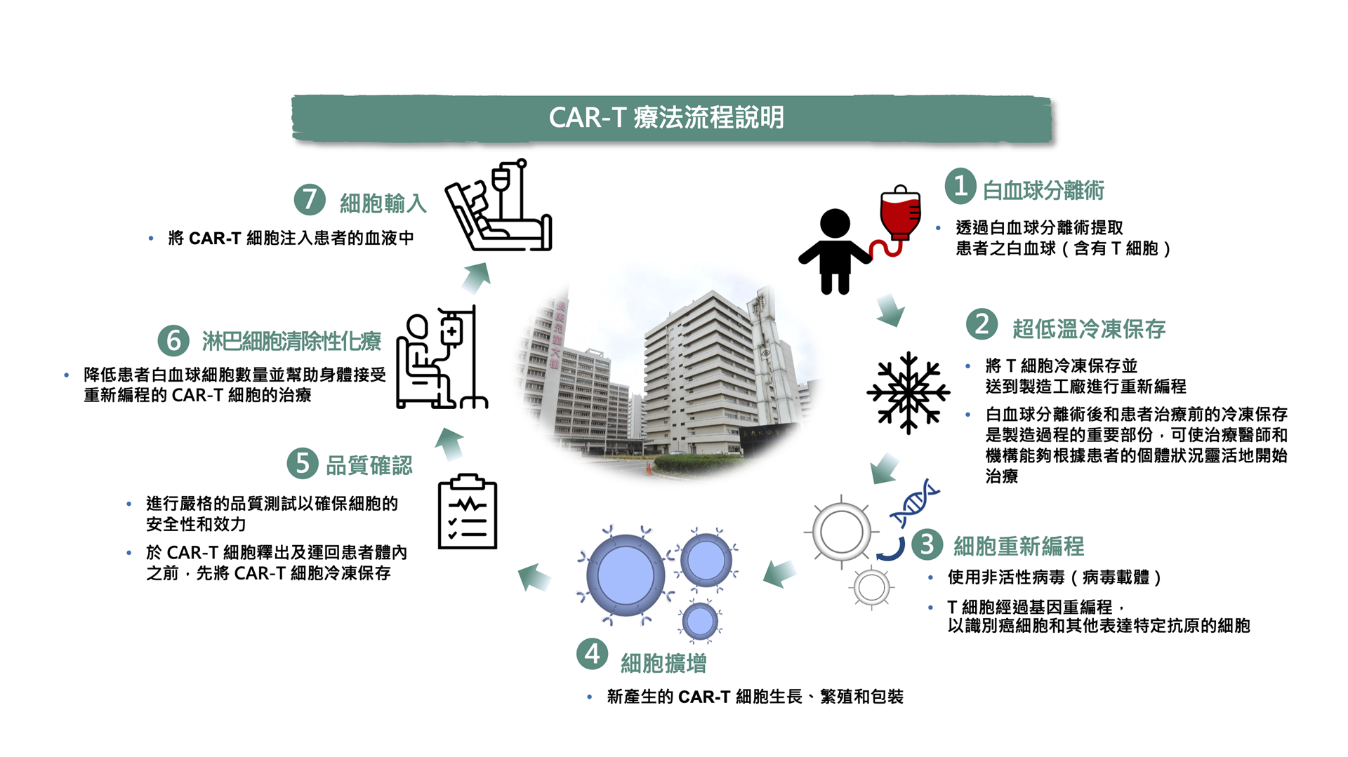 CAR-T療法流程說明。圖/長庚醫院提供