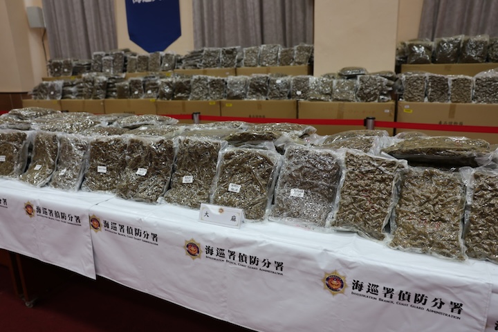 海委會海巡署偵防分署5日宣布緝毒成果，圖為查獲的毒品大麻。圖/海巡署提供