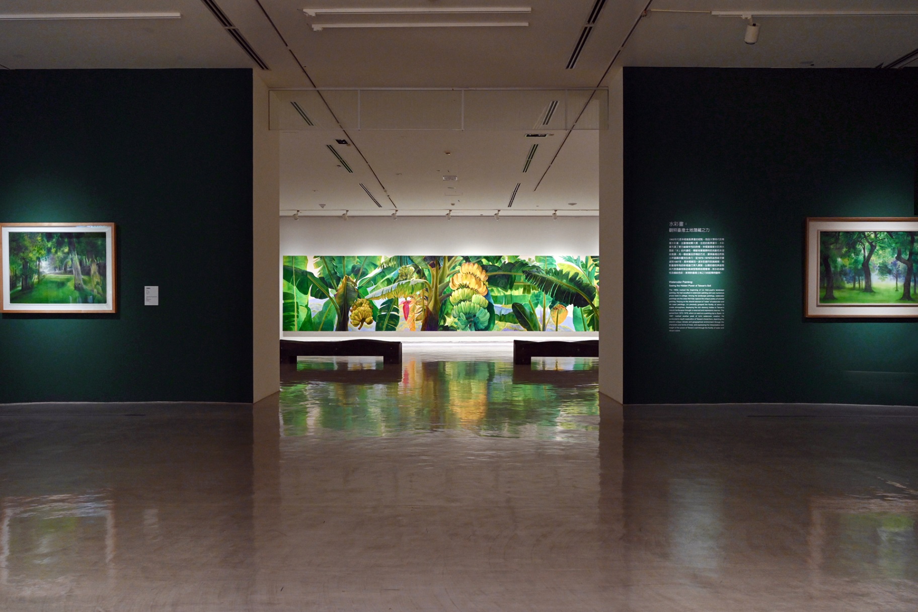 國美館於2019年辦理「林惺嶽：大自然奇幻的光影」展，其作品風格從超現實主義及魔幻寫實風格出發，描繪台灣在地景象。圖/國美館提供