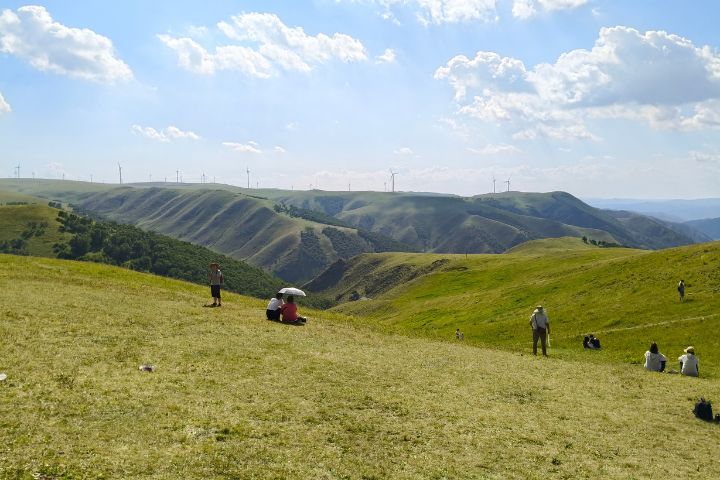 時值盛夏，輝騰錫勒草原白天平均氣溫僅約18℃，自古便是中國大陸北方著名避暑勝地。圖/記者陳素貞攝