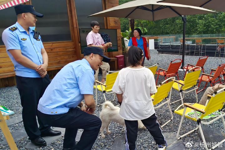 民眾希望主管機關從人性化管理的角度出發,適度調整遛狗時間,讓合法辦理登記、遵守規範的犬隻,也有機會在白天外出活動。圖/取自杭州城管微博