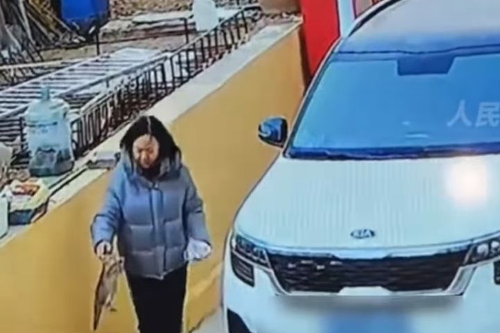 大陸內蒙一隻尚未滿月的小貓因不敵嚴寒倒臥戶外、全身僵硬幾乎失去生命跡象（左下），所幸被一女子帶回家中展開長達約三小時的搶救。圖/取自人民網影片