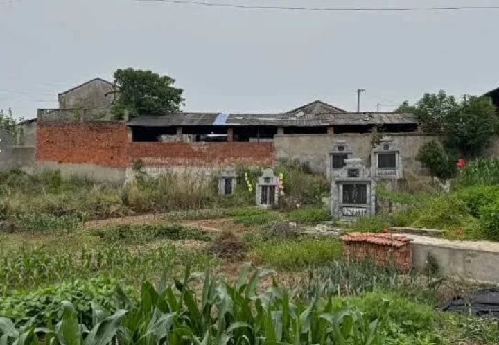 昌盛泡花鹼廠離村民菜地一牆之隔。圖/取自大象新聞