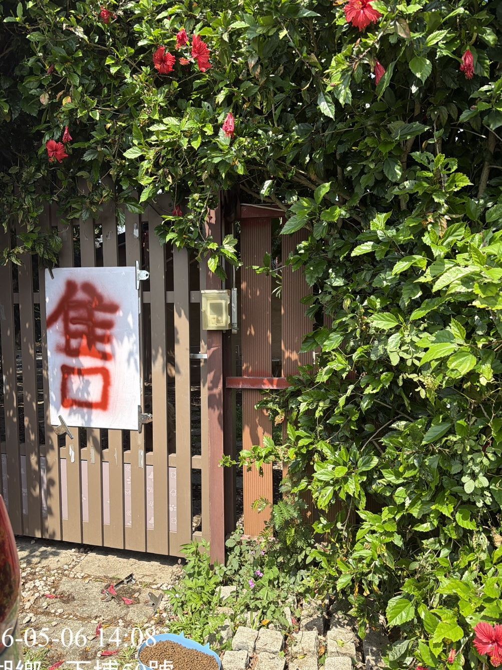 圖為苗栗縣西湖鄉網紅餐廳5月爆出虐狗風波,目前歇業中。圖/苗縣府提供