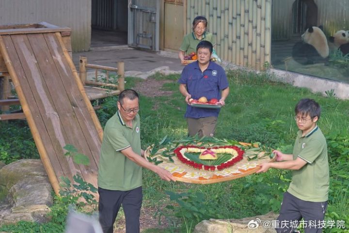 10月6日，重慶動物園舉辦一年一度的動物中秋限定宴席活動，以充滿儀式感的「動物團圓餐」拉開序幕。圖/重慶城市科技學院微博