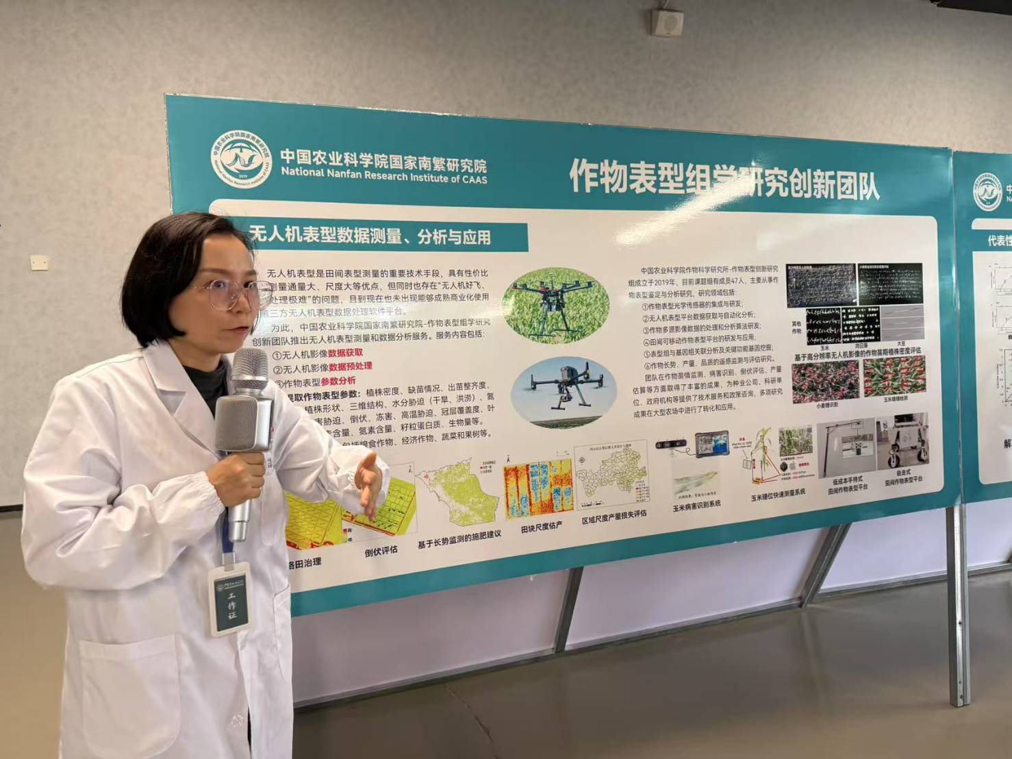南繁研究院科研助理李藝超現場說明玉米變種演變過程。圖／記者張蔭泉攝