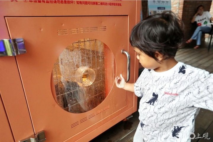 小主人在「自助洗寵機」外面陪伴正在洗澡的狗狗。圖/取自上觀新聞