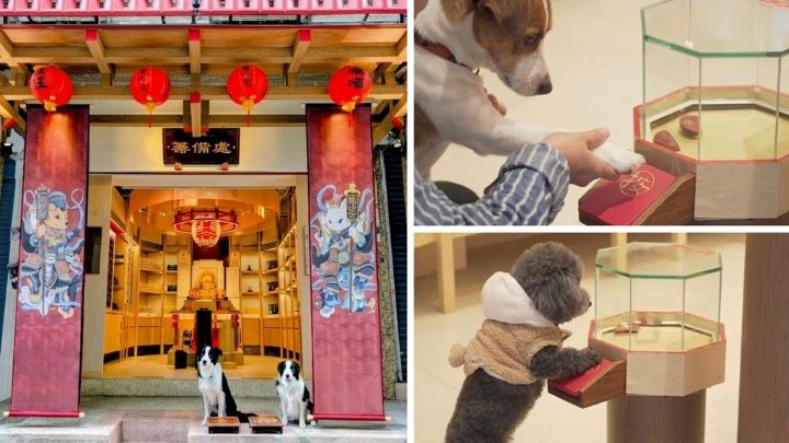 寵物信仰已深植台灣飼主文化,面對寵物高齡化帶來的病痛焦慮,針對毛孩的心理慰藉與祈福需求正呈現爆發式增長。圖/寵佑宮提供