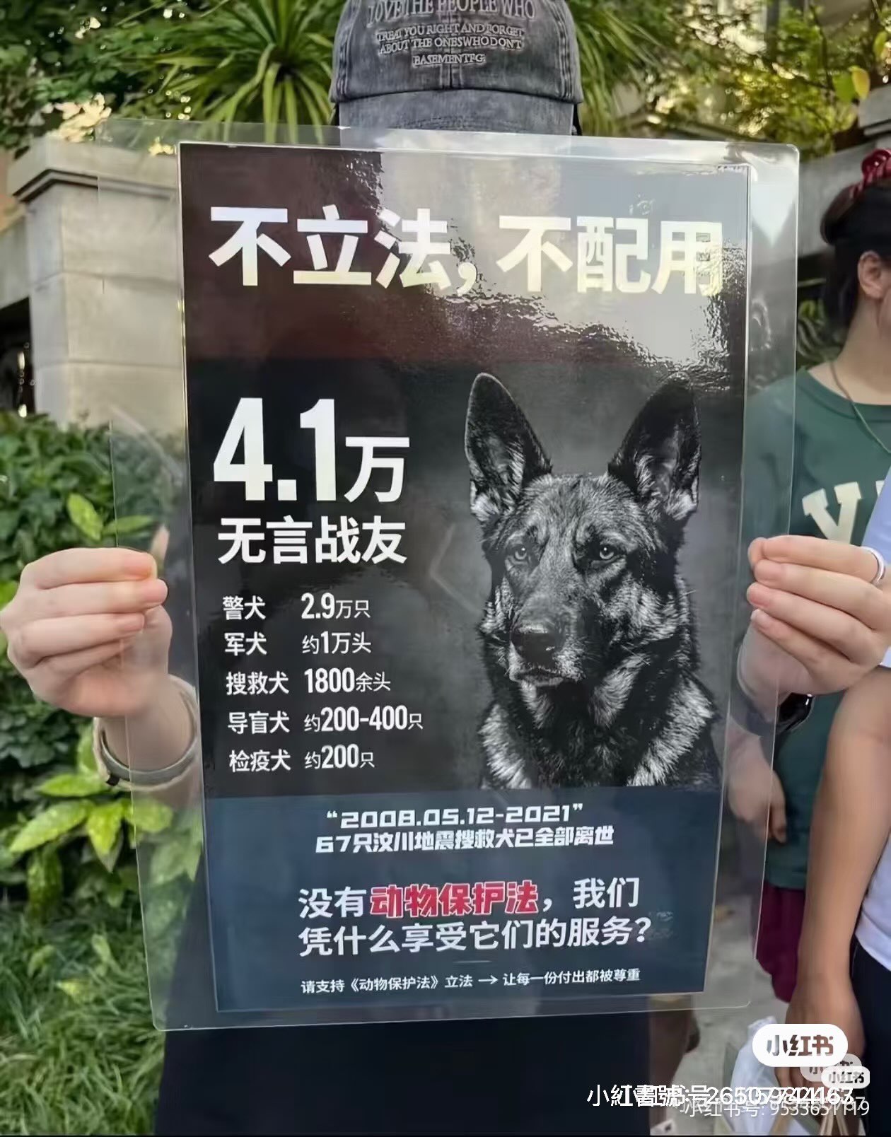 圖為2021年重慶警察槍殺8槍躺在地上曬太陽的退役德國牧羊犬（壯壯），當時全程被民眾目睹並拍下，撻伐聲浪很快在網路上發酵。圖/取自Threads