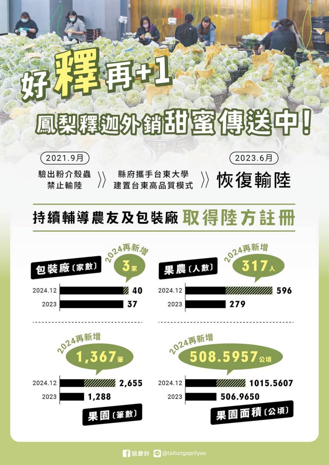 台東縣府自力救濟爭取台灣釋迦恢復輸陸。圖/取自饒慶鈴臉書