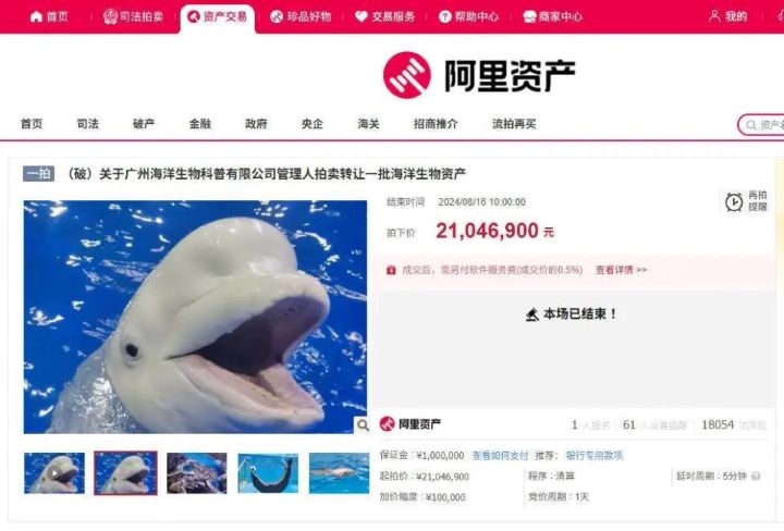 近年來活體動物登上大陸司法拍賣平台的案例並不少見，標的從寵物貓、犬，到奶牛、梅花鹿及鱷魚等都有。圖/取自阿里資產平台