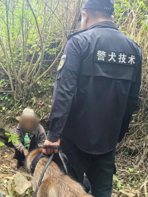 持續搜尋超過35小時後，「巴頓」在深山密林中發現老人身影。圖/取自《人民日報》