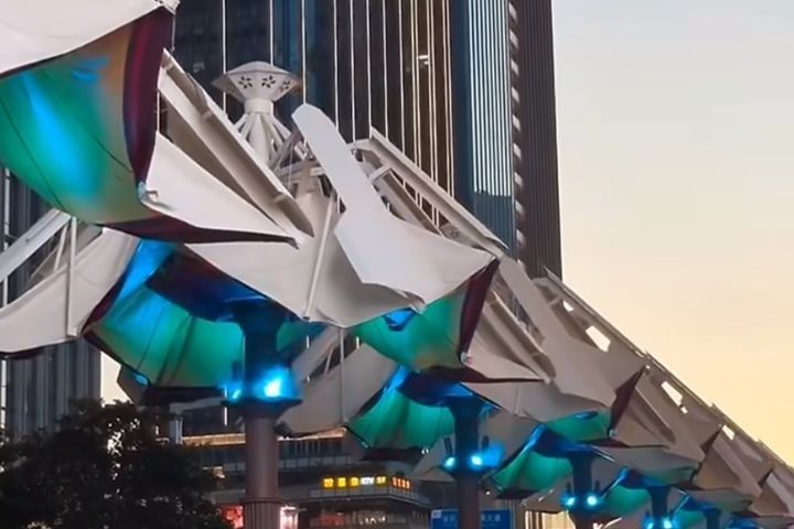 深圳街頭街頭也有自動開合、能調節溫度的智能遮陽傘。圖/取自懂車一姐影片