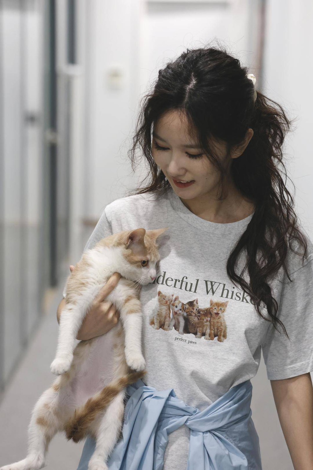 「小曹狸花」個人近三年也成功救助數十隻貓咪。。圖/取自小曹狸花公眾號