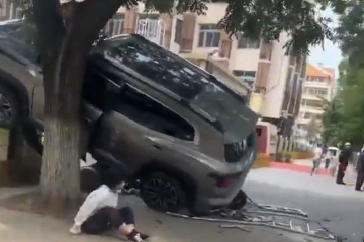 車輛最終撞上路旁樹木停下，多名目擊者衝上前控制肇事司機。圖/取自@李老師不是你老師 X