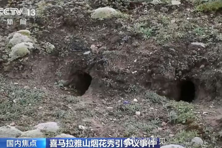 活動地點海拔4500公尺，以高山草甸為主，生態系統極其脆弱。圖/取自央視影片
