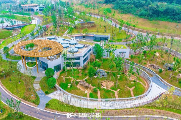 綿陽基地位於綿陽科技城新區鼓樓山生態公園,佔地約120公頃。圖/取自中國大貓熊保護研究中心