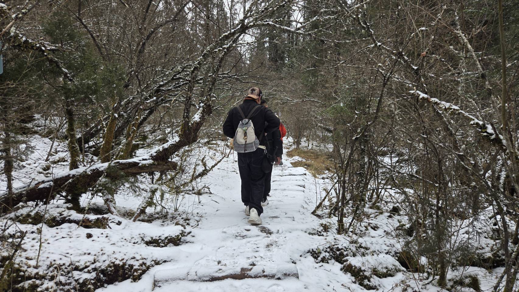 王朗保護區甘海子的沿湖步道堆滿積雪。圖/記者宋秉忠攝
