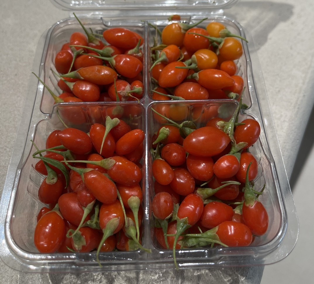 盒中右下角，是紅顏色青椒味的枸杞。圖/陳素貞攝