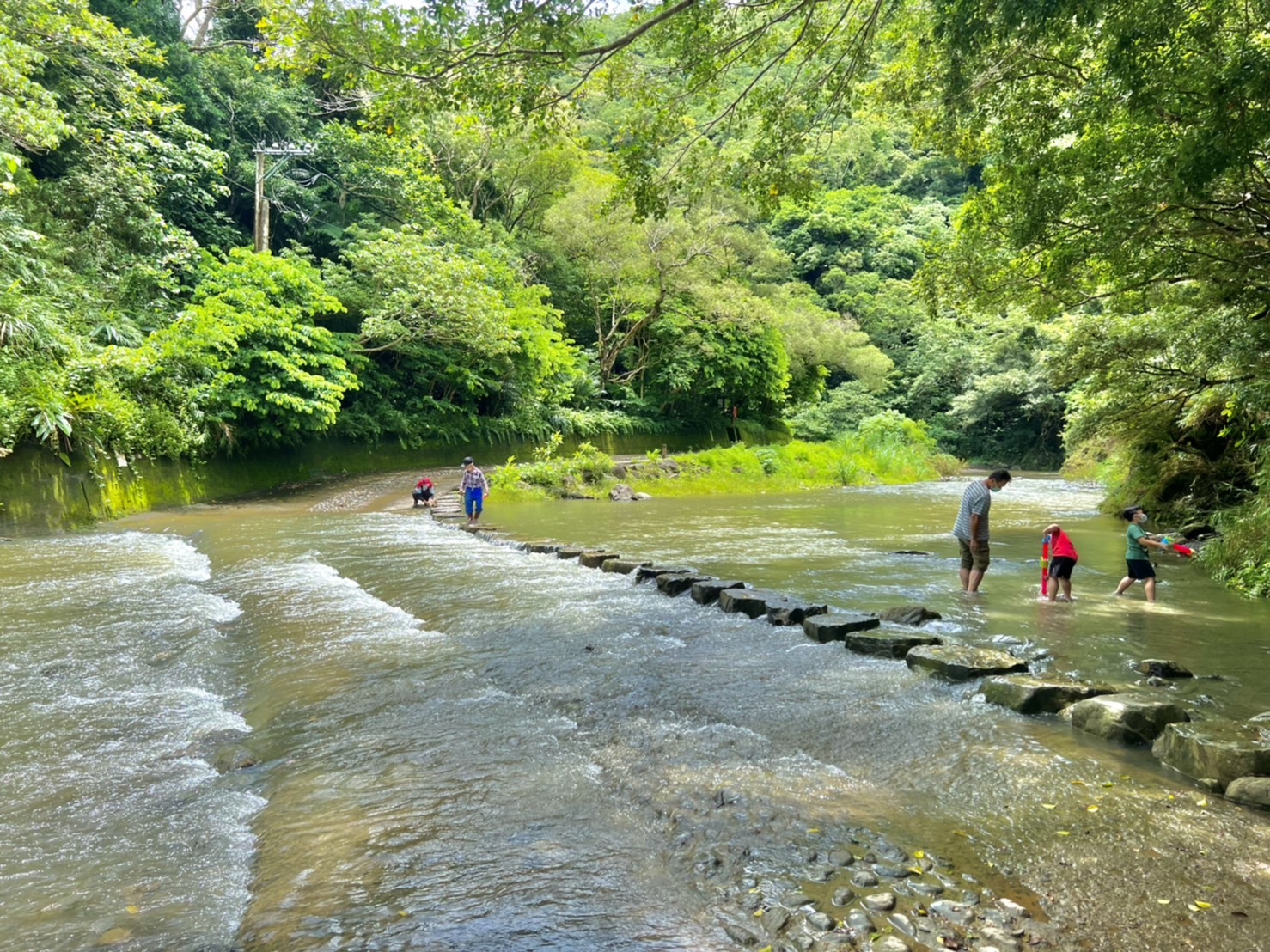 雙流國家森林遊樂區可讓心思細膩、缺乏安全感的孩子透過自然景觀消除壓力。圖/取自農業部林業及自然保育署網站