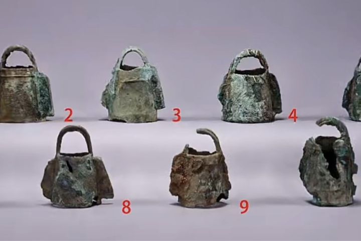 部分野生動物頸部仍掛有銅鈴，顯示這些動物並非臨時狩獵所得，而是由商王或高階貴族長期圈養、管理的珍禽異獸。圖/取自《河南日報》影片