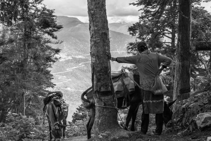 茶馬古道自唐代形成，以滇藏線、川藏線、青藏線三大主幹道聞名。圖/中華競爭力交流協會提供