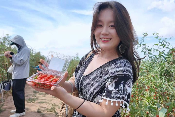  台青何維霈分享，走進枸杞園採果，不僅能現場品嚐最新鮮的鮮果，還能體驗枸杞宴、了解枸杞文化與養生故事。圖/記者陳思豪攝