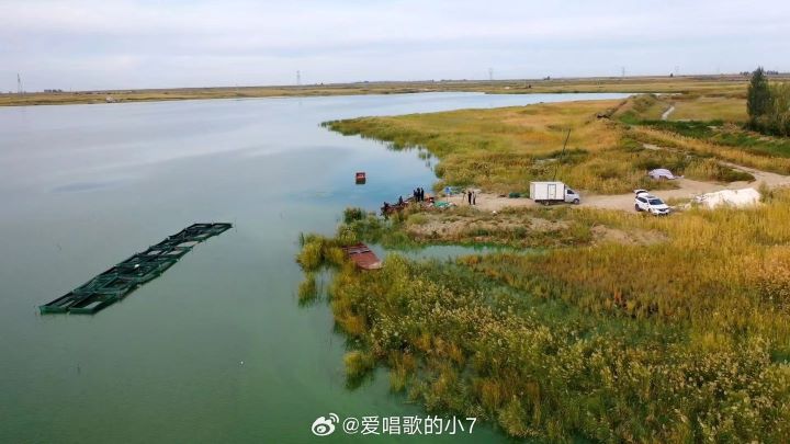 白楊西湖水源來自地下泉水與天山融雪水,養殖基地採取生態餵養方式,並依照訂單需求調整捕撈量。圖/取自張掖發布微博