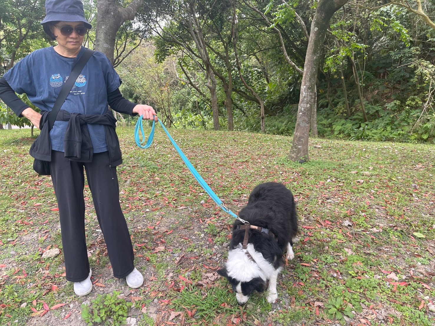 受虐狗雷諾只喜歡吃公園的土，旁邊的是收養牠的朱小姐。 圖/楊俊斌攝