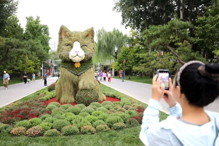 北京日壇公園近日出現一隻高達3.5公尺的「潦草小貓」——「蓬蓬」,迅速成為新晉打卡熱點。圖/取自《北京日報》