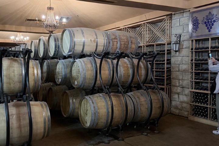  走進酒莊，除了能欣賞成排葡萄園景致，更能深入了解釀酒過程。圖/記者陳素貞攝
