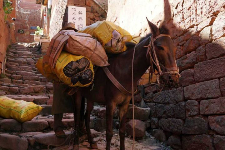 透過影像帶領觀眾穿越時空，見證茶馬古道的古老記憶與現代脈動。圖/中華競爭力交流協會提供