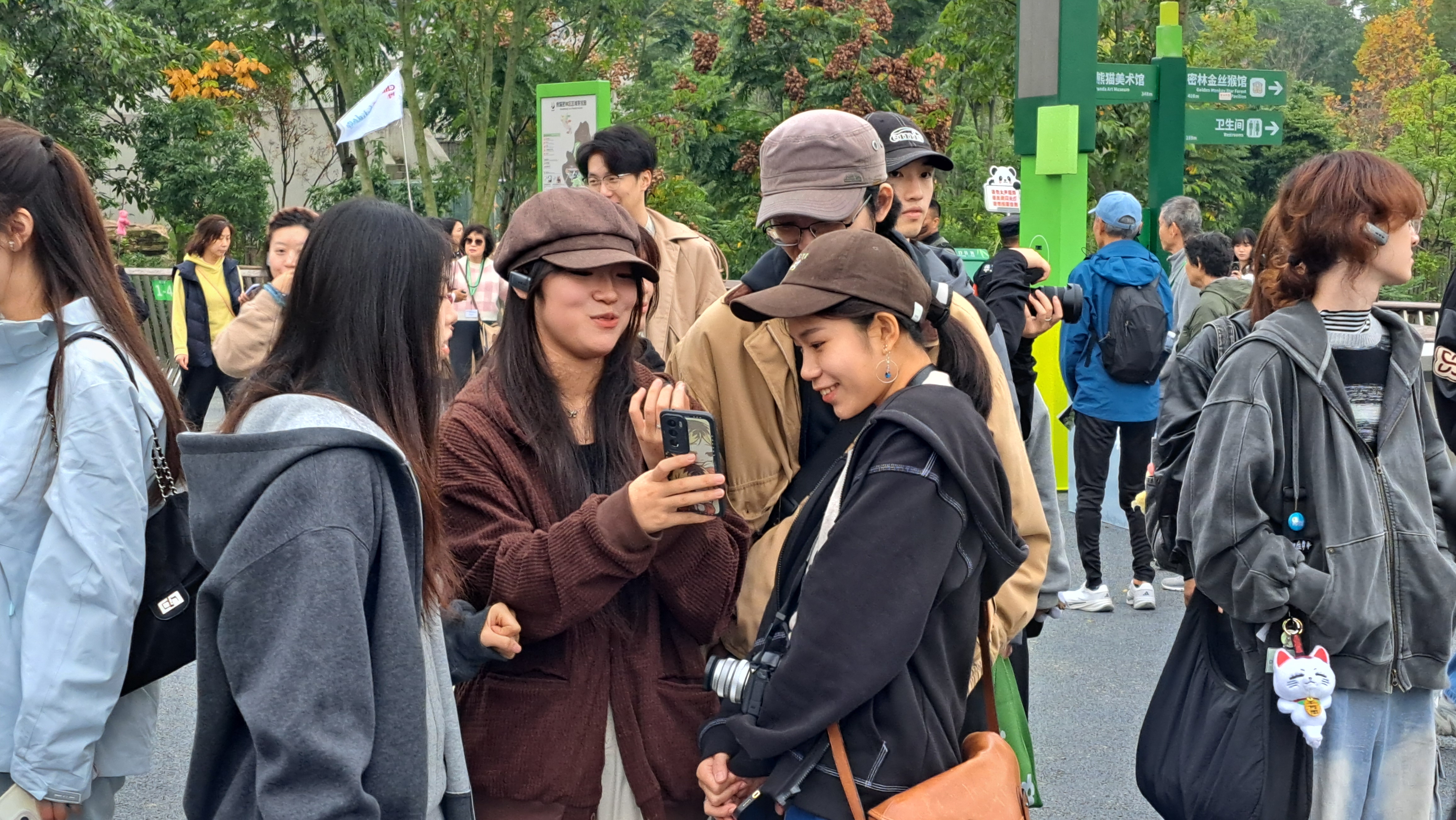 在成都大熊貓繁育基地，台灣大學生驚嘆：「從來都沒看過這麼多大熊貓。」圖/記者宋秉忠攝