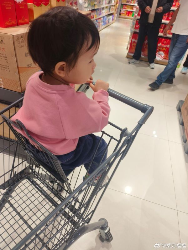 婚姻人口減少,也可能進一步影響母嬰與教育市場。圖/取自菜刀福福微博