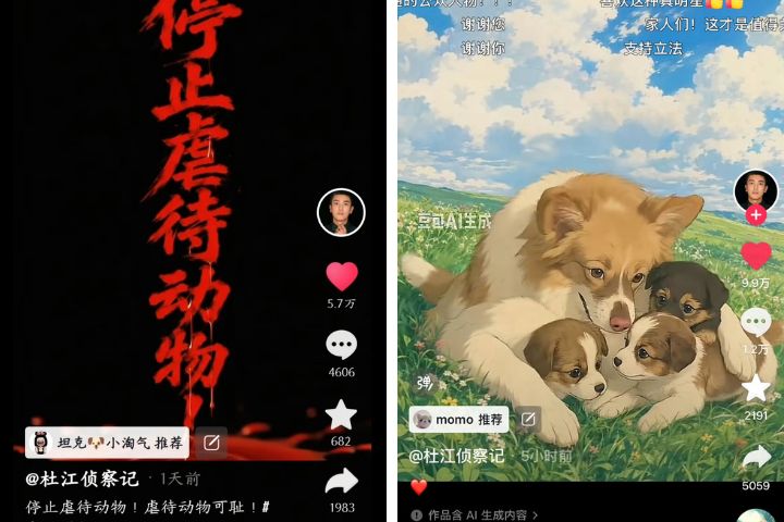 杜江呼籲停止虐待動物，並盼中國推動《動物保護法》，其言行獲得無數大陸網友力挺。圖/取自微博