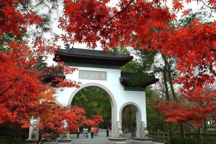 杭州靈隱寺12月後可能出現「免費朝聖潮」。圖/取自靈隱寺官網
