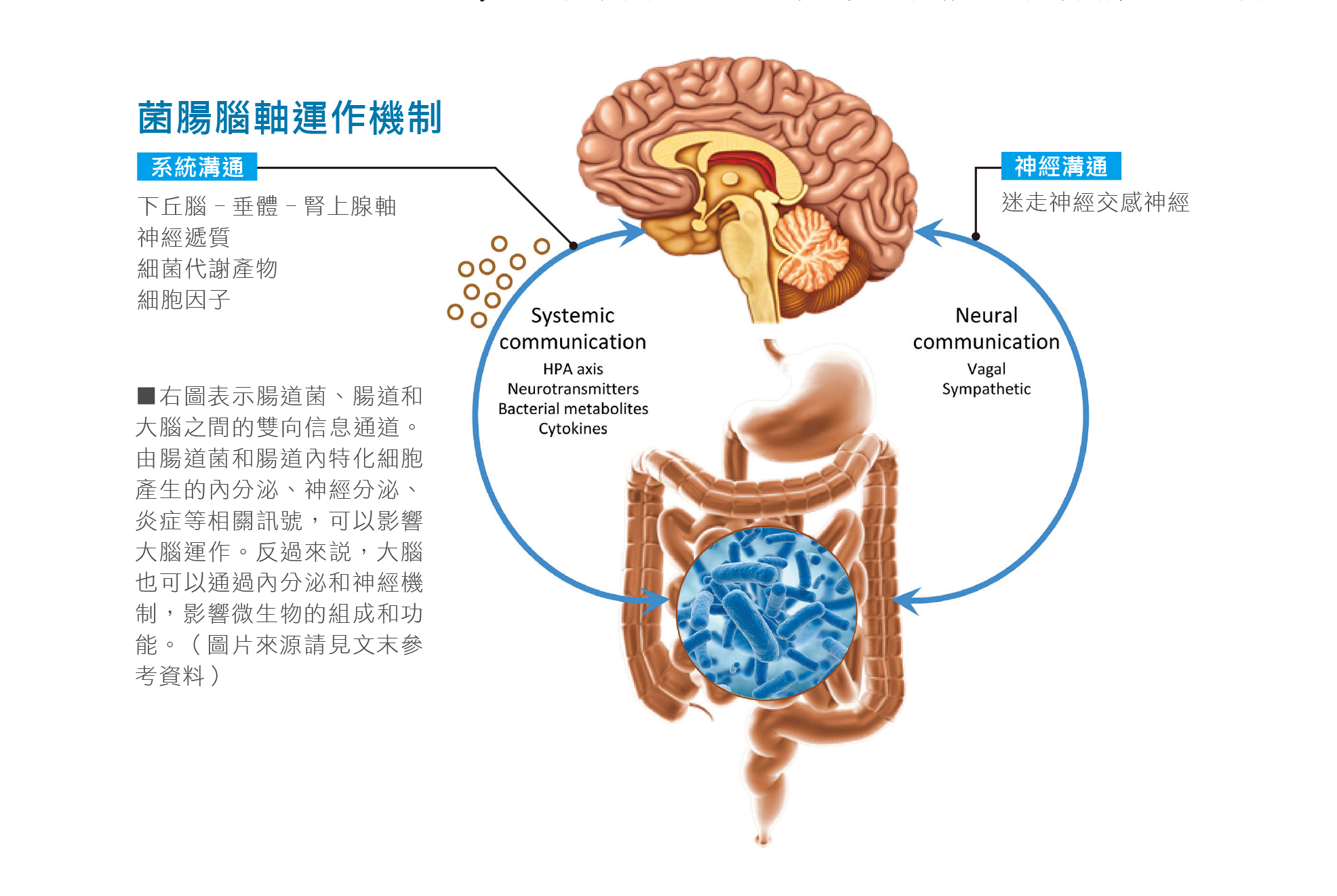 圖/禪天下雜誌提供