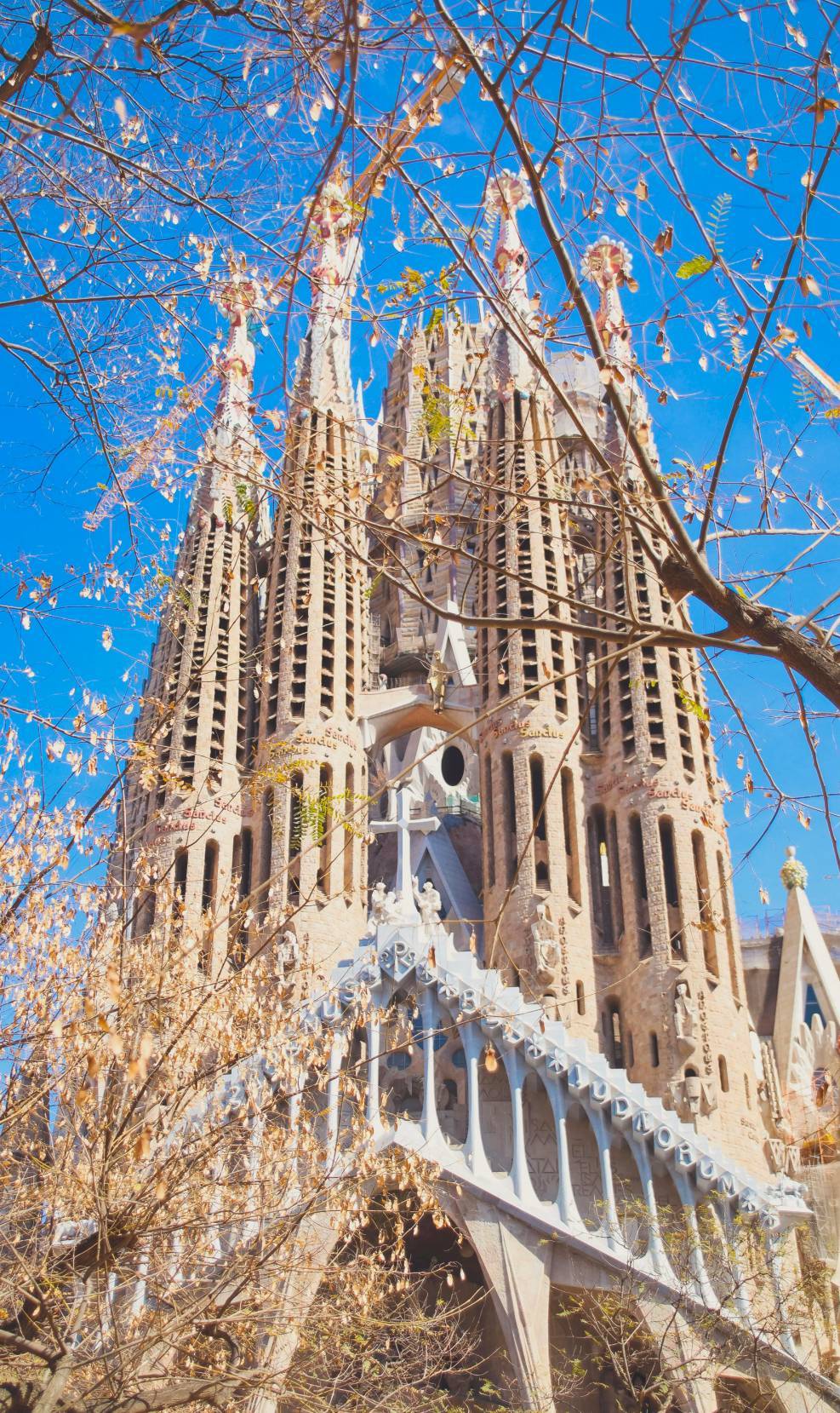 聖家堂尖塔聳立藍天下，展現高第奇幻建築魅力。圖/開元周遊提供