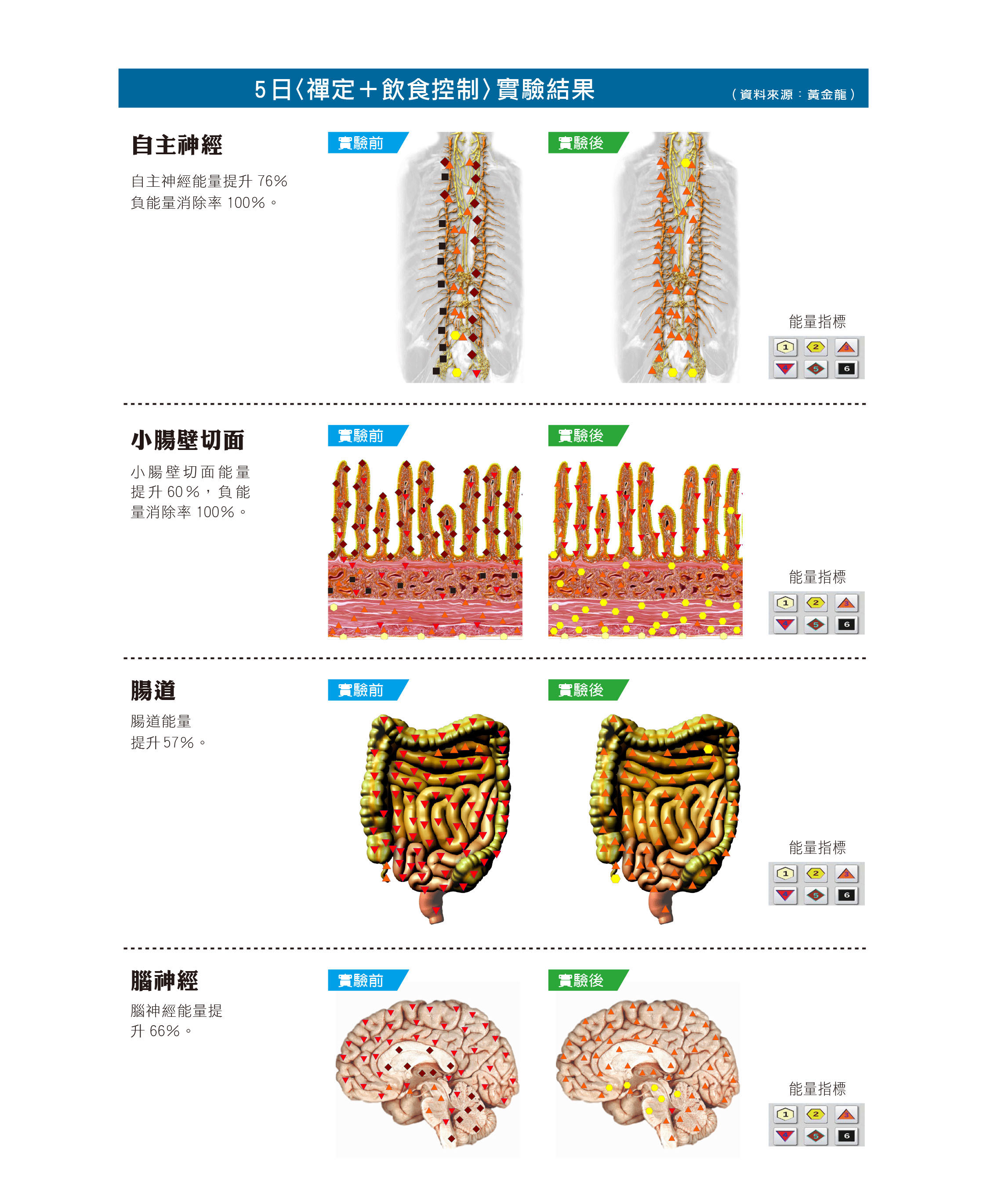 圖/禪天下雜誌提供