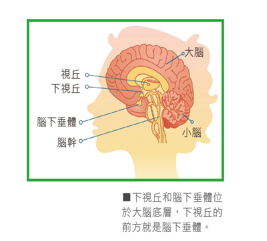 圖/禪天下雜誌提供