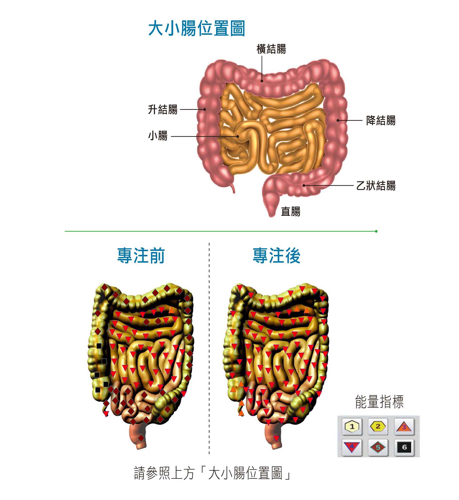 圖/禪天下雜誌提供